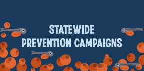 STATEWIDE PREVENTION CAMPAIGNS