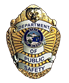 Department of Public Safety Badge