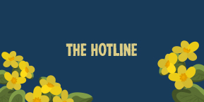 THE HOTLINE