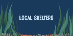 LOCAL SHELTERS