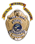 Department of Public Safety Badges